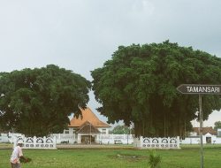 Mengenal Sejarah dan Mitos di Balik Alun-alun Kidul Yogyakarta